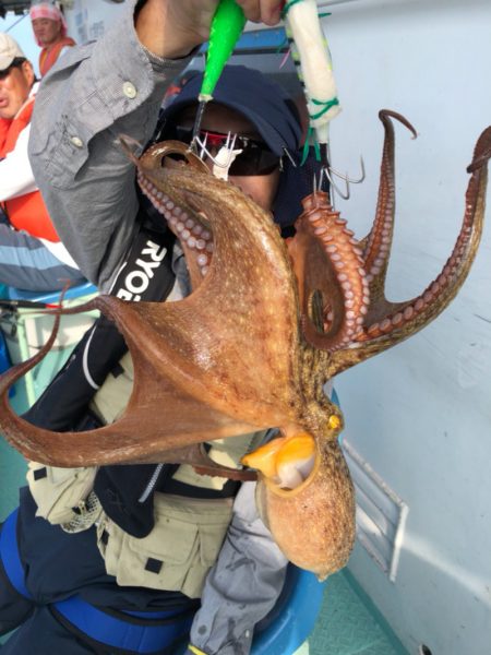 ヤザワ渡船 釣果