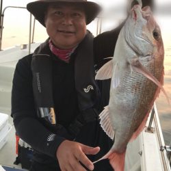 遊漁船メテオ 釣果