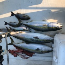 Monster Rush! 釣果