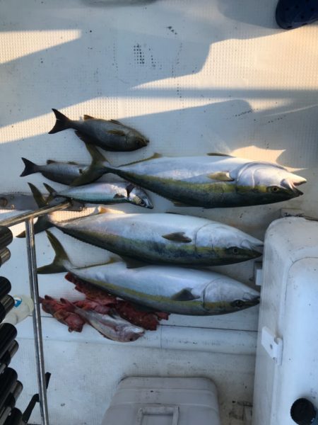 Monster Rush! 釣果