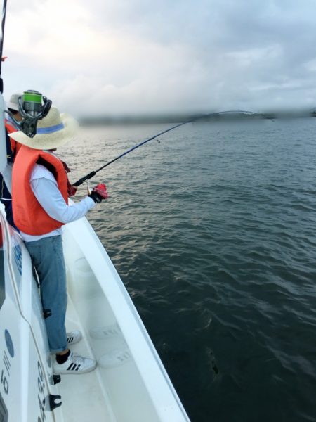 うさぎ丸 釣果