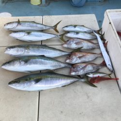 Monster Rush! 釣果