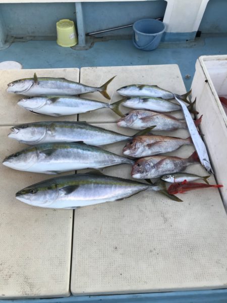 Monster Rush! 釣果