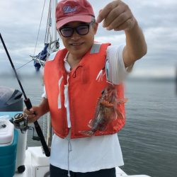 うさぎ丸 釣果