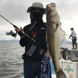 アマテラス 釣果