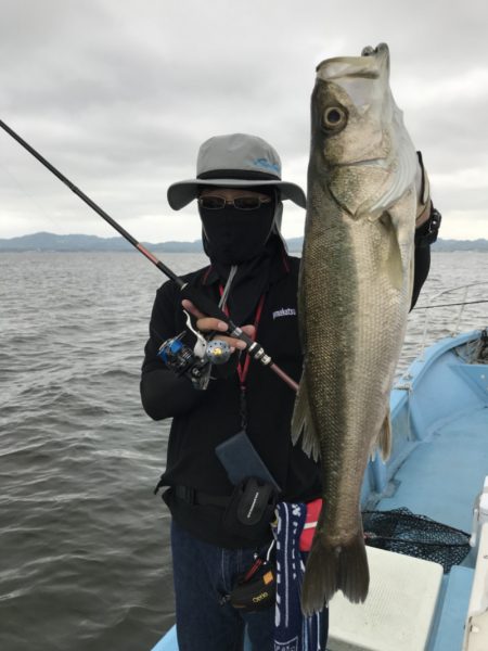 アマテラス 釣果