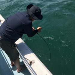 Monster Rush! 釣果