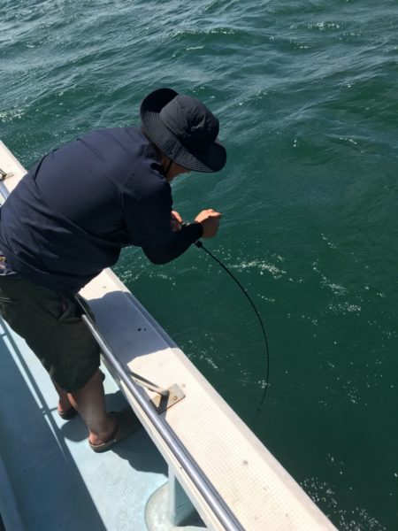 Monster Rush! 釣果