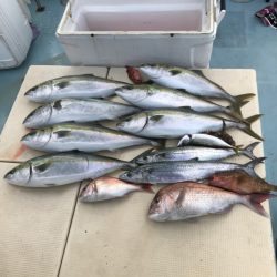 Monster Rush! 釣果