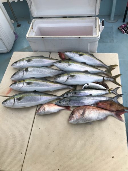 Monster Rush! 釣果