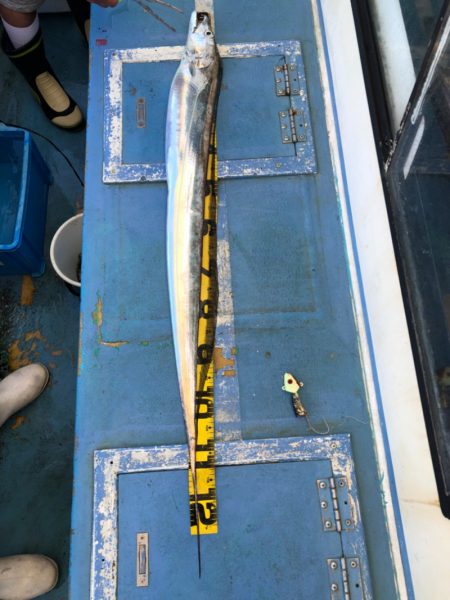 ヤザワ渡船 釣果