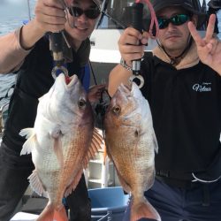 遊漁船メテオ 釣果
