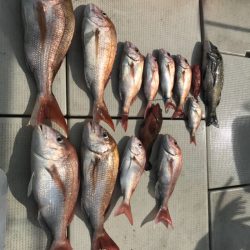 遊漁船メテオ 釣果