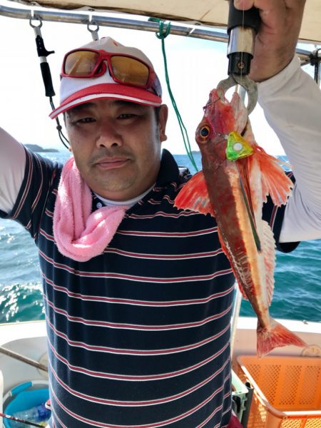 龍神丸(鹿児島) 釣果