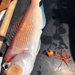 あみや渡船 JIGBOY 釣果