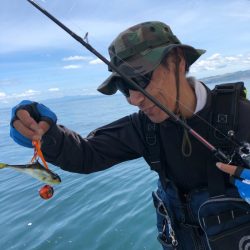 末広丸(熊本) 釣果