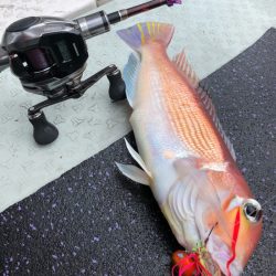 あみや渡船 JIGBOY 釣果