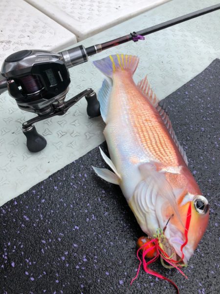 あみや渡船 JIGBOY 釣果