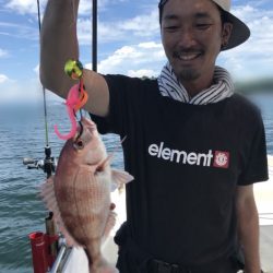 遊漁船メテオ 釣果