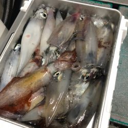 ＴＡＲＯＭＡＲＵ 釣果