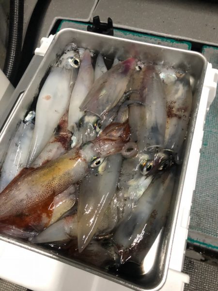 ＴＡＲＯＭＡＲＵ 釣果