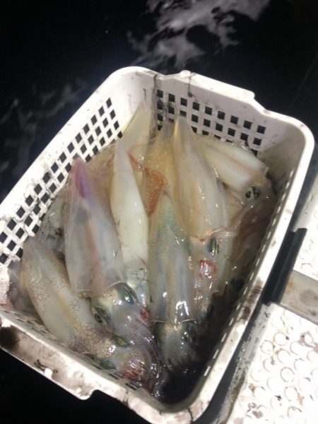 ＴＡＲＯＭＡＲＵ 釣果