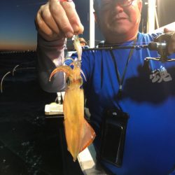 ＴＡＲＯＭＡＲＵ 釣果