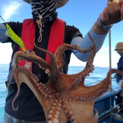 ヤザワ渡船 釣果