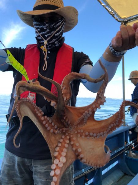 ヤザワ渡船 釣果