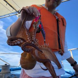 ヤザワ渡船 釣果