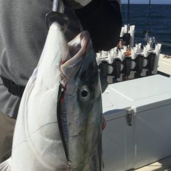 Monster Rush! 釣果