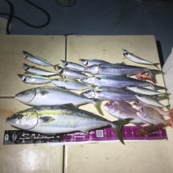 Monster Rush! 釣果