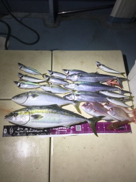 Monster Rush! 釣果