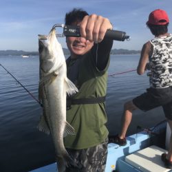 アマテラス 釣果