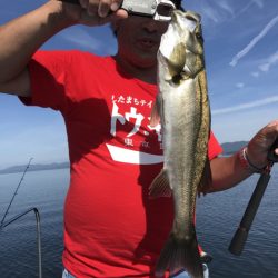 アマテラス 釣果