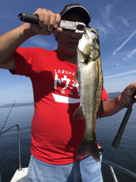 アマテラス 釣果