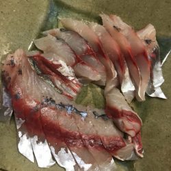 龍神丸(鹿児島) 釣果