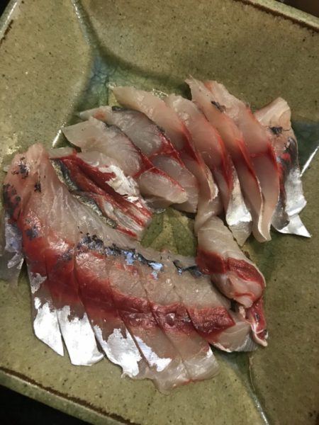 龍神丸(鹿児島) 釣果