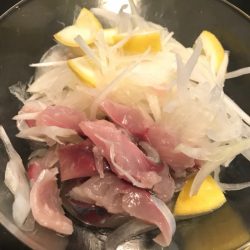 龍神丸(鹿児島) 釣果