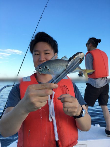 うさぎ丸 釣果