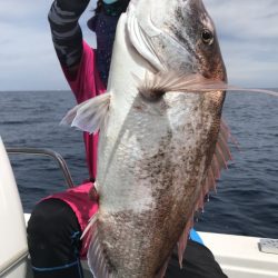 アマテラス 釣果