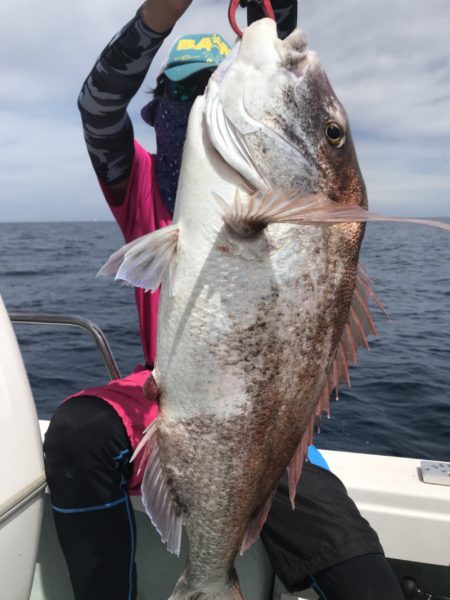 アマテラス 釣果