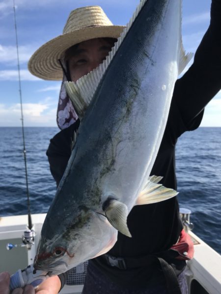 アマテラス 釣果