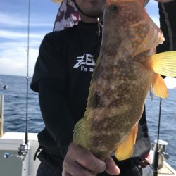 アマテラス 釣果