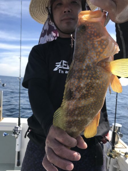 アマテラス 釣果