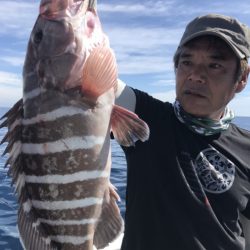 アマテラス 釣果