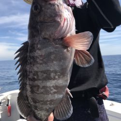 アマテラス 釣果