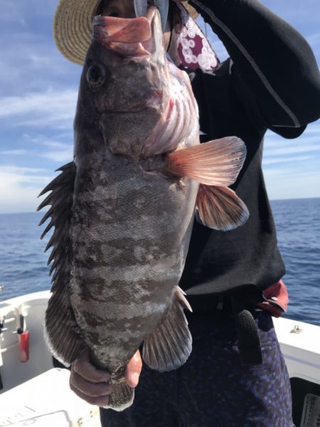 アマテラス 釣果