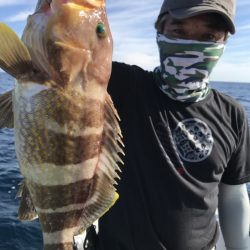 アマテラス 釣果