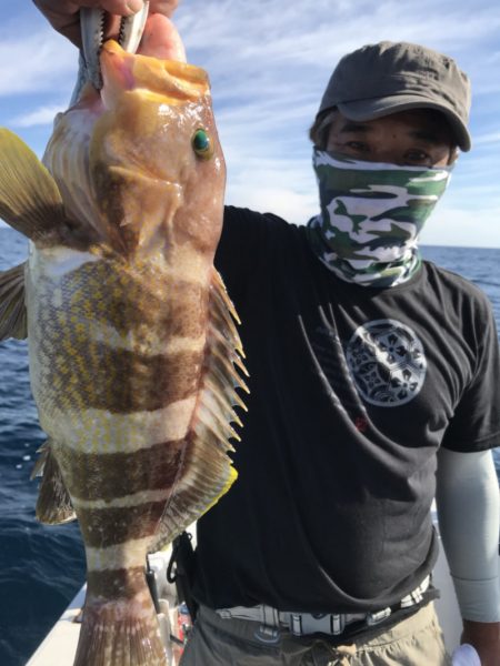 アマテラス 釣果